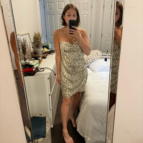 Zara leopard mini dress (size large) - Picture 1 of 3